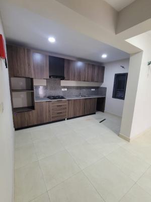 Luxurious 3 Bedroom Terrace Duplex, Creeklane, Osapa, Lekki, Lagos, Terraced Duplex for Rent