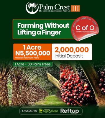 Own a Palm Oil Farm with a C of O Without Lifting a Finger, Palm Crest Phase 3, Olugbade Village, Along Iseyin-okeho Road, Iseyin,, Iseyin, Oyo, Commercial Land for Sale
