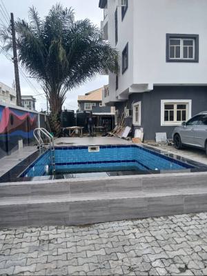 Serviced Mini Flat Apartment with Swimming Pool, Gated and Secured Estate Off Shoprite Road, Osapa, Lekki, Lagos, Mini Flat (room and Parlour) for Rent