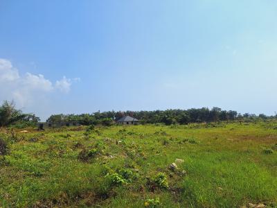 C of O Residential Land, Green Spring Schools, Awoyaya, Ibeju Lekki, Lagos, Residential Land for Sale