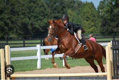 December Discount Splash on Luxury Residential Estate Plots, Eleranigbe, Ibeju Lekki, Lagos, Residential Land for Sale