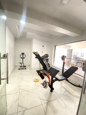 Luxury Standard 1 Bedroom Mini Flat, Ikate, Lekki, Lagos, Mini Flat (room and Parlour) for Rent