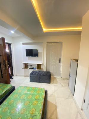 Lovely Mini Flat with Swimming Pool, Gym and 24 Hours Light, Ikate, Lekki, Lagos, Mini Flat (room and Parlour) for Rent