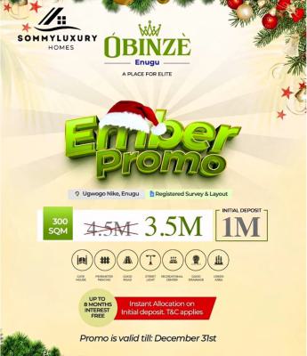 Premium Land in Enugu (obinze Enugu), Enugu, Enugu, Residential Land for Sale