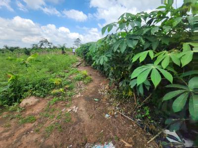 Earn 5 Million Naira Annually for 10 Years in Cassava Plantation, Alabata, Odeda Local Government, Abeokuta South, Ogun, Commercial Land for Sale