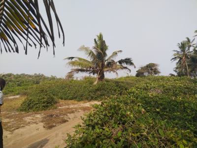 70 Hectares of Land Suitable for Both Commercial & Residential Propert, Ayetoro Scheme, Airport Road, Ibeju Lekki, Lagos, Mixed-use Land for Sale