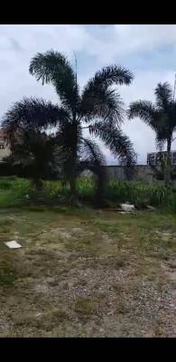 Premium Bare and Empty Land in a Prime Estate, Nicon Town, Lekki, Lagos, Land for Sale