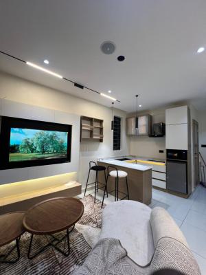 Serviced Apartments for Airbnb Business, in a Lucrative and High Demanding Area Rotimi Street Close to Tejuosho, Surulere, Lagos, Mini Flat (room and Parlour) for Sale