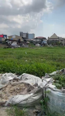 Lovely Bare Land, Secured and Serene Area at Wasimi, Maryland, Lagos, Residential Land for Sale