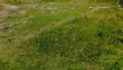 a Large Piece of Land, By Kushenla, Ikate, Lekki, Lagos, Mixed-use Land for Rent