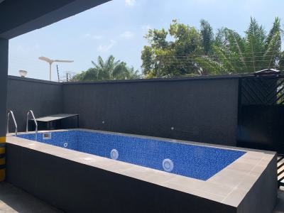 Brand New 2 Bedroom Luxurious Apartment with Swimming Pool, Ikate Elegushi, Lekki, Lagos, Flat / Apartment for Rent