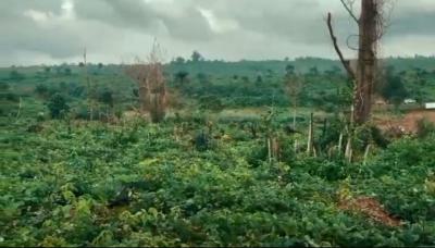 The Olive, The Olive Estate, Agbowa, Agbowa, Ikorodu, Lagos, Mixed-use Land for Sale