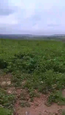 Guzape Ii -- 2,152.72 Sqm Corner Plot  C of O, Guzape Ii, Guzape District, Abuja, Residential Land for Sale