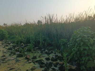 a Plot Measuring 631sqm of Land  in a Well Developed Estate, Fidiso Estate, Sangotedo, Ajah, Lagos, Residential Land for Sale