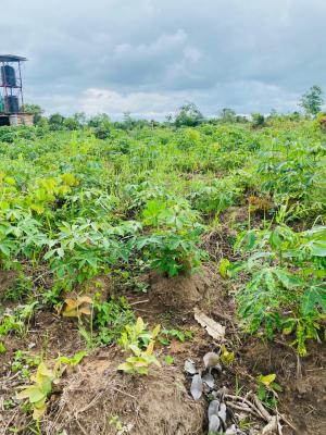 Earn 3 Million Naira Annually for 10 Years on a Cassava Plantation, Right in The Axis of Funnab, Abeokuta South, Ogun, Residential Land for Sale