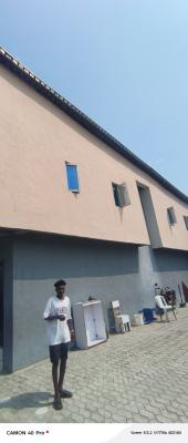 Standard Mini Flat Opposite Oral Estate in Alternative Route, Chevron Alternative, Lekki, Lagos, Mini Flat (room and Parlour) for Rent