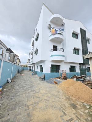 Newly Renovated Massive 1 Bedroom Apartment, Chevron, Lekki, Lagos, Flat / Apartment for Rent
