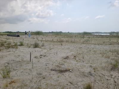 Residential Plot of Land Available, Chevron, Lekki, Lagos, Residential Land for Sale