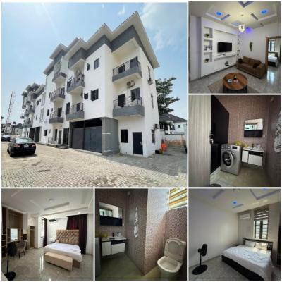 Fully Furnished Luxury 2-bedroom Penthouse, Chevron, Lekki, Lagos, Flat / Apartment for Sale