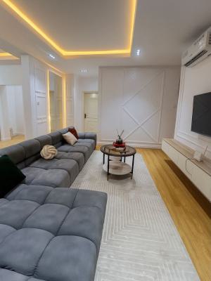 Newly Launched Cozy 2 Bedroom Apartment, Sinari Daranijo, Victoria Island (vi), Lagos, Flat / Apartment Short Let