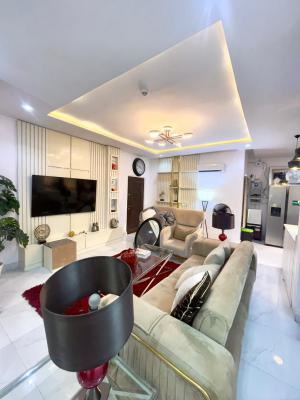Furnished 2bedrooms Apartment Available, Ikate, Lekki, Lagos, Flat / Apartment for Sale