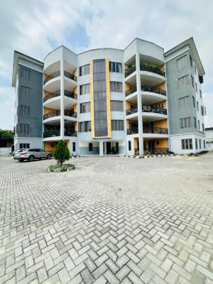 Beautifully Built 3 Bedroom Apartment (still Under Renovation), Ikoyi, Lagos, Flat / Apartment for Rent