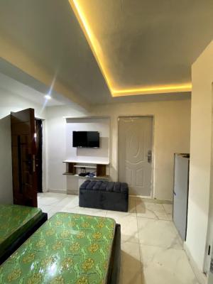 Mini Flat, Ikate, Lekki, Lagos, Mini Flat (room and Parlour) for Rent