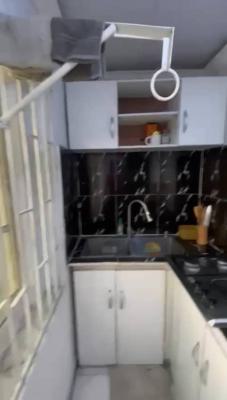 Lovely Sweet Mini Flat, Domino Pizza Side, Gbagada, Lagos, Mini Flat (room and Parlour) for Rent
