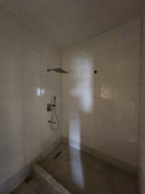 Tastefully Renovated Lovely Newly Renovated 3 Bedroom Flats, Off Falolu Street, Surulere, Lagos, Flat / Apartment for Rent