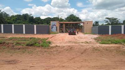 Verifiable Plots of Land in Apple Matell Phase 2, Akwukwu Igbo, Asaba, Delta, Mixed-use Land for Sale