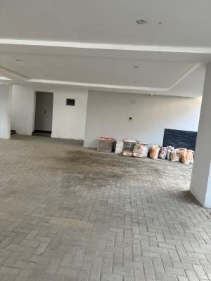 2 Bedroom Flat, Ikate Elegushi Lekki Lagos, Ikate Elegushi, Lekki, Lagos, Flat / Apartment for Rent