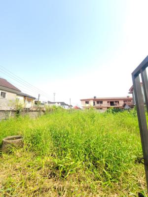 Full Plot of Land, Seaside Estate, Badore, Ajah, Lagos, Mixed-use Land for Sale