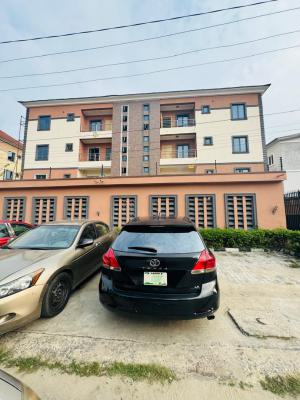 Spacious Well Maintain 2 Bedroom Apartment with Bq Comes Acs, Off Dutosimi Etti, Lekki Phase 1, Lekki, Lagos, Flat / Apartment for Rent