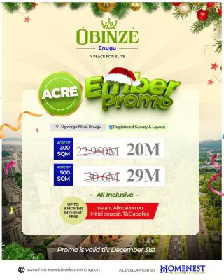 Land with Registered Survey, Obinze, Ugwogo Nike, Enugu, Enugu, Commercial Land for Sale