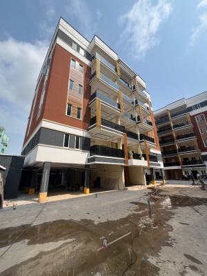 Luxury 2bed Apartment + Bq Available in Lekki Phase 1, Lekki Phase 1, Lekki, Lagos, Flat / Apartment for Rent