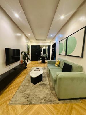 Nicely Built 2 Bedroom Apartment, Lekki Phase 1, Lekki, Lagos, Flat / Apartment Short Let