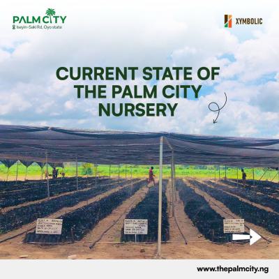 Land, Ibadan, Oyo, Commercial Land for Sale