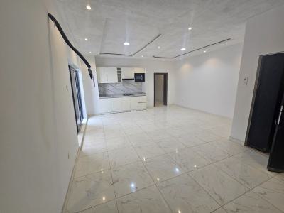 Luxury 2 Bedroom Apartment, Off Freedom Way, Lekki Phase 1, Lekki, Lagos, Flat / Apartment for Rent