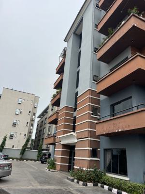 Luxurious 3 Bedroom with Bq, Off Durosinmi Etti Drive, Lekki Phase 1, Lekki, Lagos, Flat / Apartment for Rent