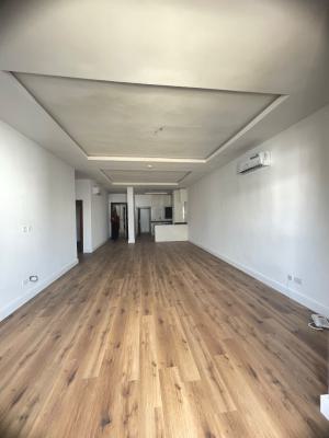 Brand New 2 Bedroom Flat + Bq, Ikate, Lekki, Lagos, Flat / Apartment for Rent