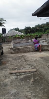 a Fish Pond on Full Plot of Land, Maya, Ikorodu, Lagos, Tank Farm for Sale