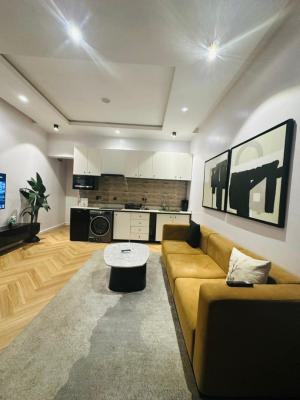 Exquisite Mini Flat(room & Parlor ) Apartment, Lekki Phase 1, Lekki Phase 1, Lekki, Lagos, Mini Flat (room and Parlour) Short Let