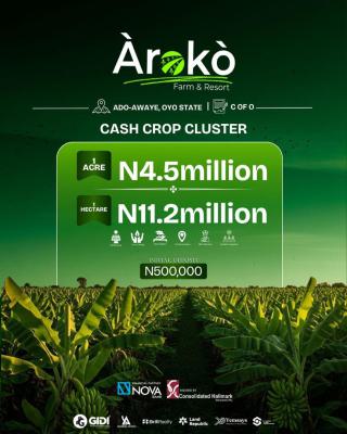 Ranch, Cashew, Cash Crop, Palm Tree, Cocoa, Livestock Farm and Resort, Aroko Farm and Resort, Ado Awaye, Ido, Oyo, Mixed-use Land for Sale