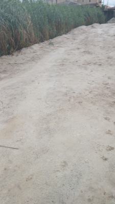 1000sqm Land, Meadow Hall Schools, Lekki Phase 1, Lekki, Lagos, Residential Land Joint Venture