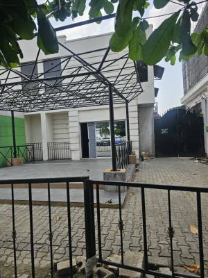 Fully Detached House on a Good Location, Saka Tinubu, Victoria Island (vi), Lagos, Plaza / Complex / Mall for Rent