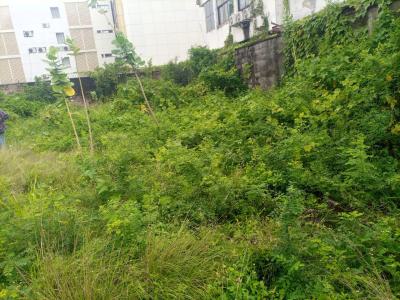 560sm Fenced Land with Gate, Off Ligali Ayorinde, Victoria Island (vi), Lagos, Mixed-use Land for Rent