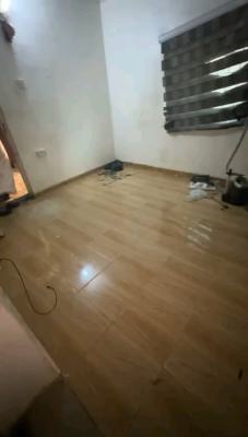 Neatly Used, Spacious and Standard Miniflat in a Secured Environment, Off Shyllon, Ilupeju, Lagos, Mini Flat (room and Parlour) for Rent