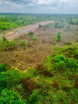 Earn 20 Million Annually for 25 Years When You Own This Farm Land, in The Axis of Alabata Market, Abeokuta South, Ogun, Residential Land for Sale
