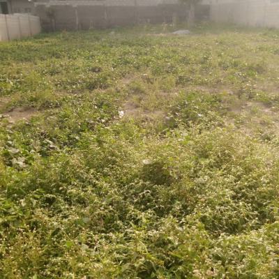 Prestigious 550sqm Bareland in Exclusive Neighbourhood on Offer, Ikeja Gra, Ikeja, Lagos, Land for Sale