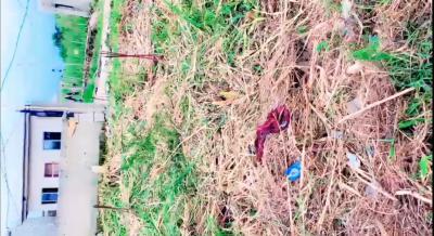 Half Plot of Land at Greenville Badore  Ajah, Greenville Estate Badore Ajah, Badore, Ajah, Lagos, Residential Land for Sale